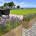 Nyaraló Anny - 100m From The Sea By Interhome *